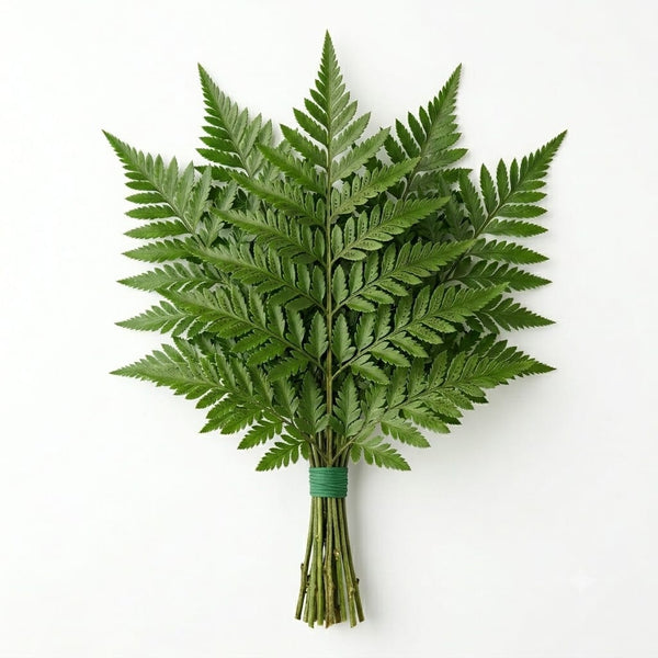 Leather Leaf
