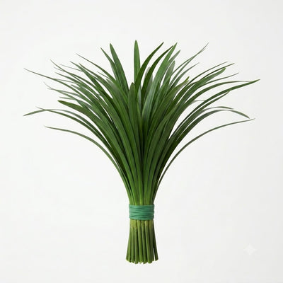 Lily grass (25)