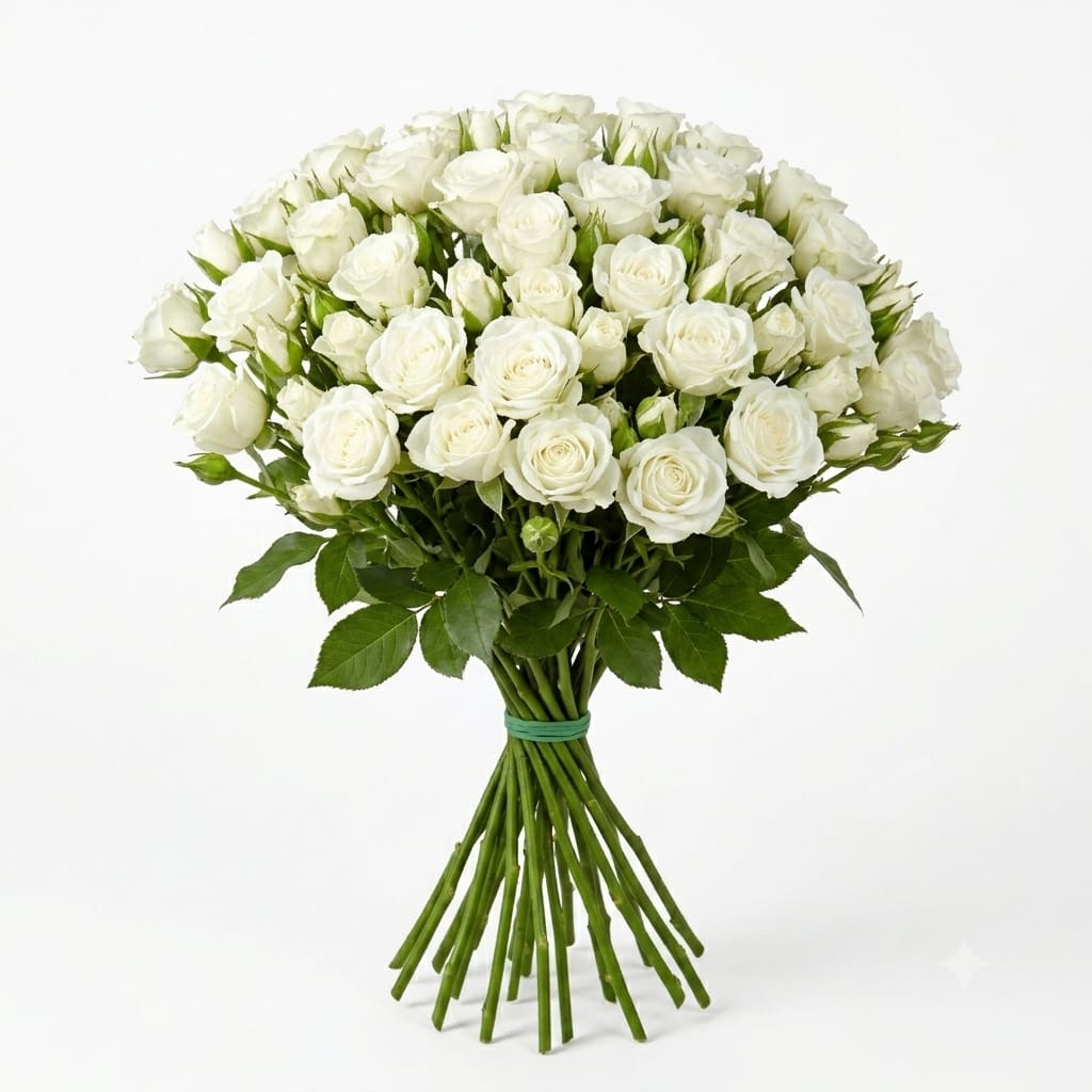 Spray Roses