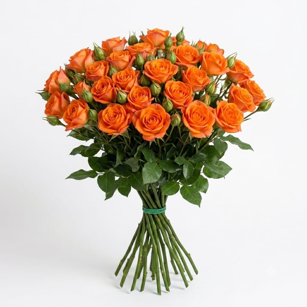 Spray Roses