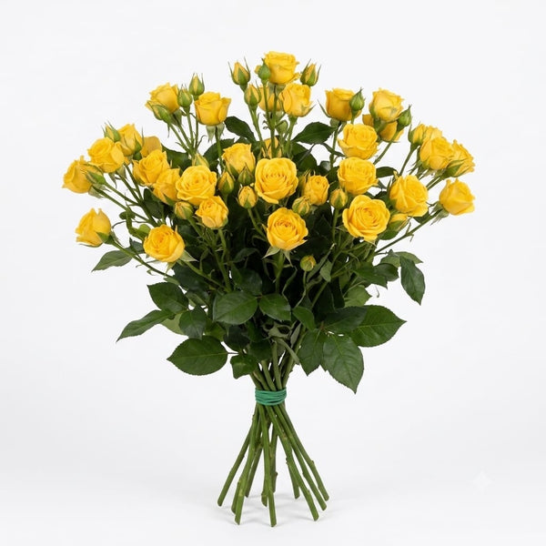 Spray Roses
