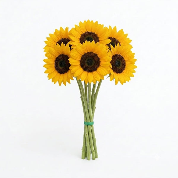 Sunflower Select