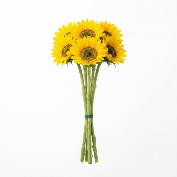 Sunflower Petite